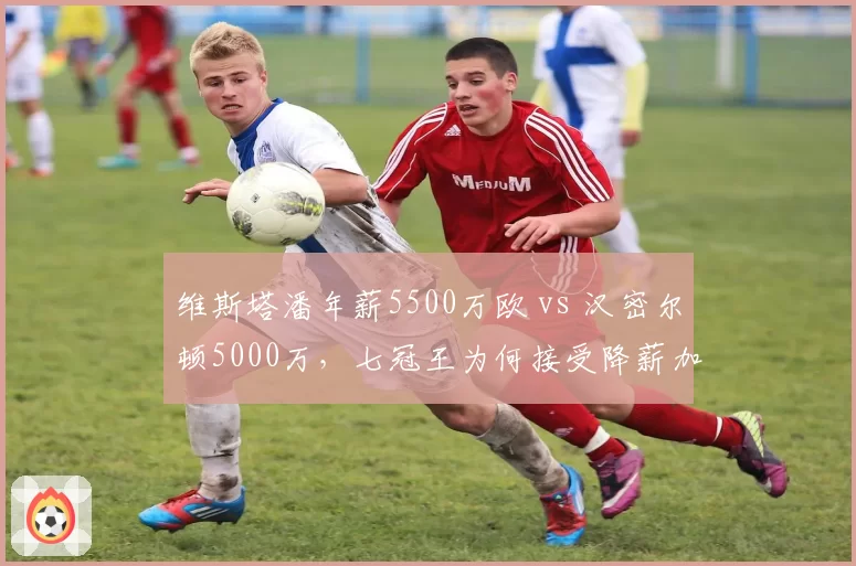 维斯塔潘年薪5500万欧 vs 汉密尔顿5000万,七冠王为何接受降薪加盟法拉利