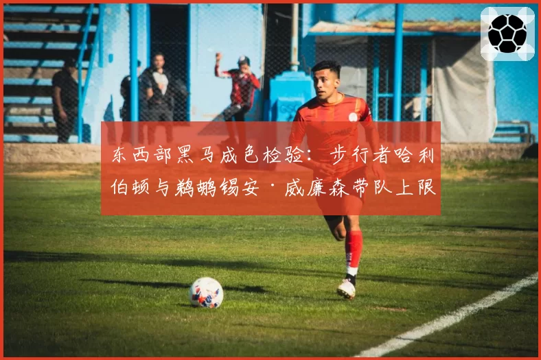 东西部黑马成色检验：步行者哈利伯顿与鹈鹕锡安·威廉森带队上限数据对比