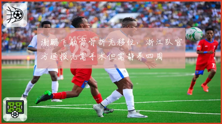 谢鹏飞肋骨骨折无移位,浙江队官方通报无需手术但需静养四周